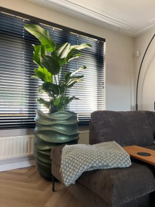 Woonhuis interieurbeplanting