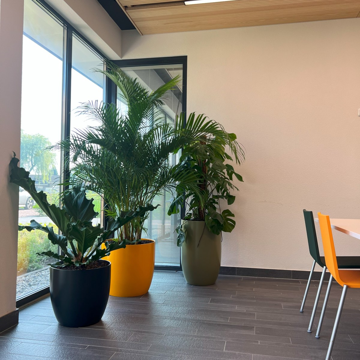 project bedrijf boekel